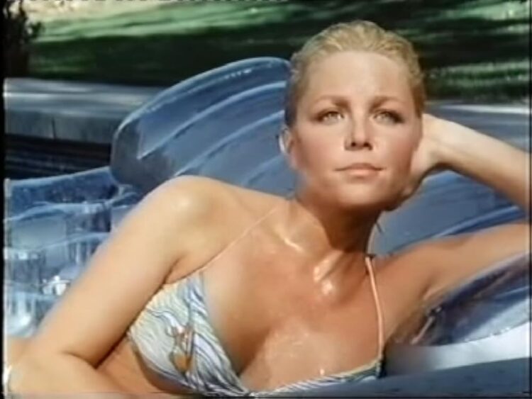 joan van ark 4