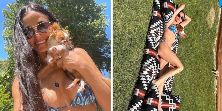 joshua mintz 3 scaled