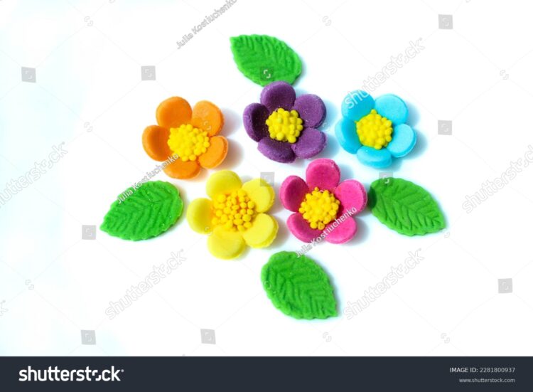 julia kostiuchenko 3