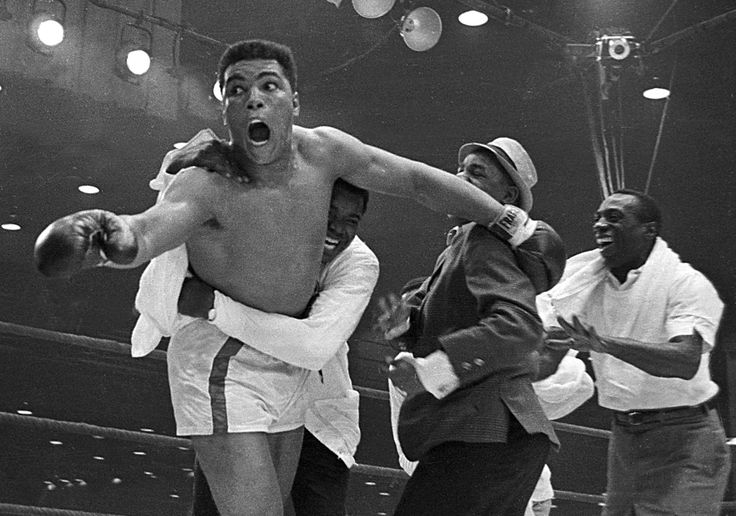 julie rotblatt amrany 8