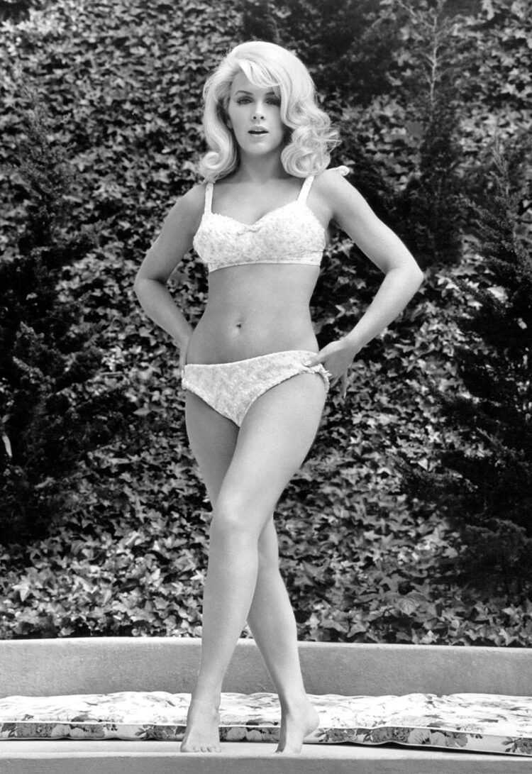 julie stevens 3