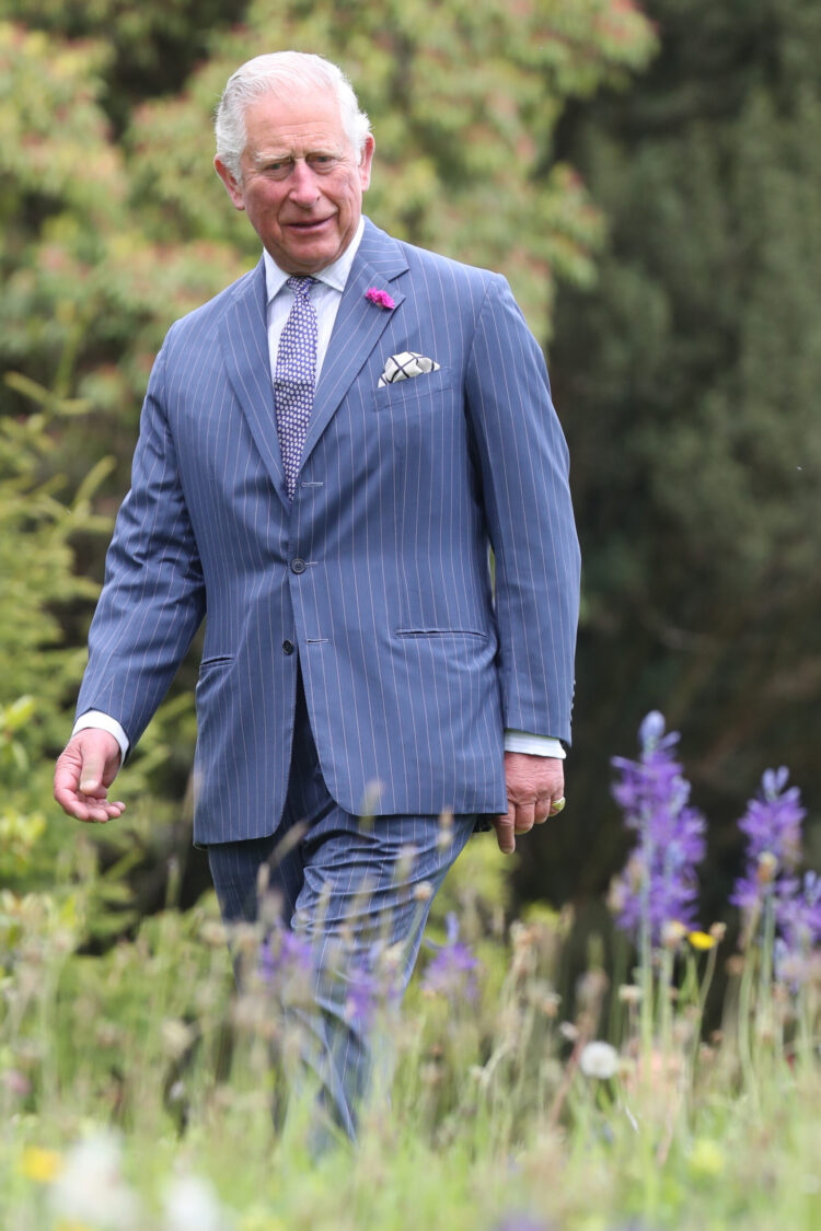 juliet stevenson 2 scaled