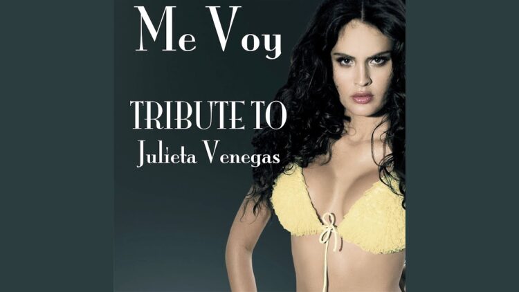 julieta venegas 5