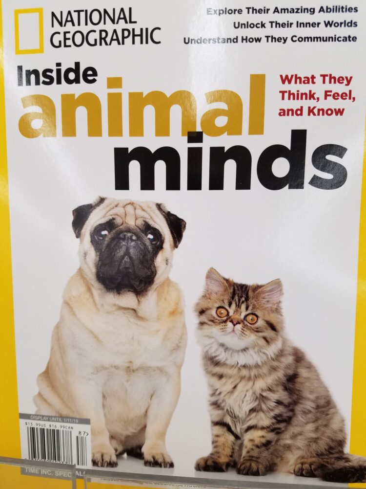 julissa arce rivera 6