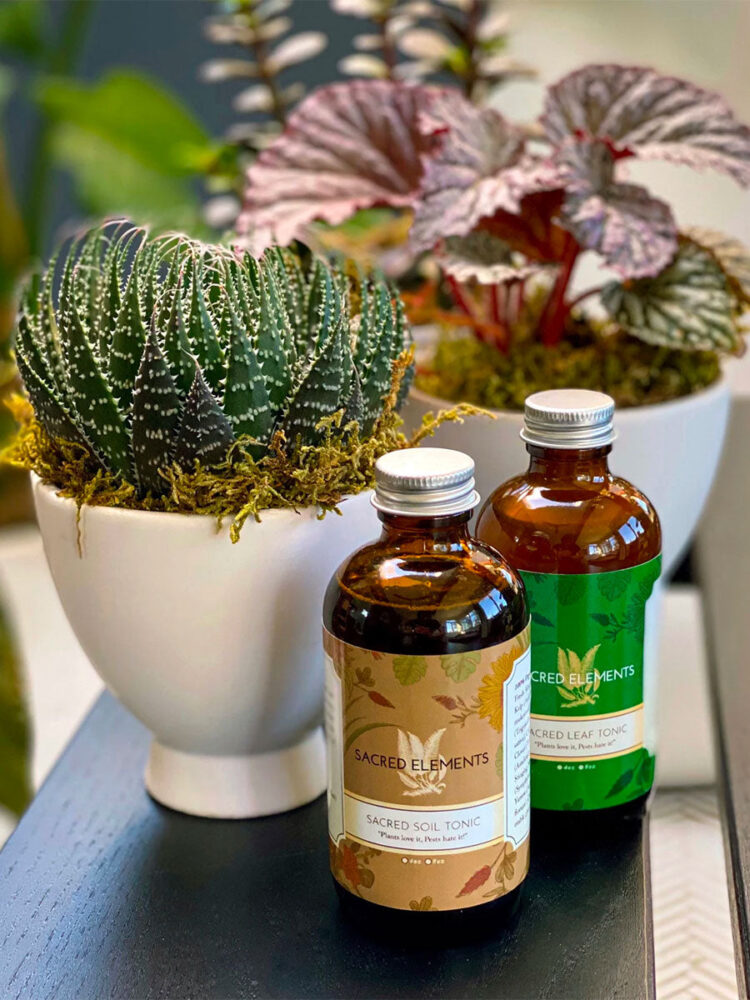 karina sacredelements 1