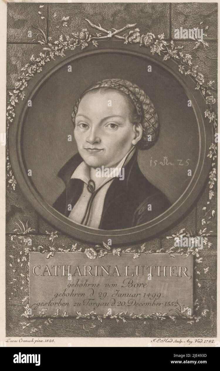 katharina von bora 8