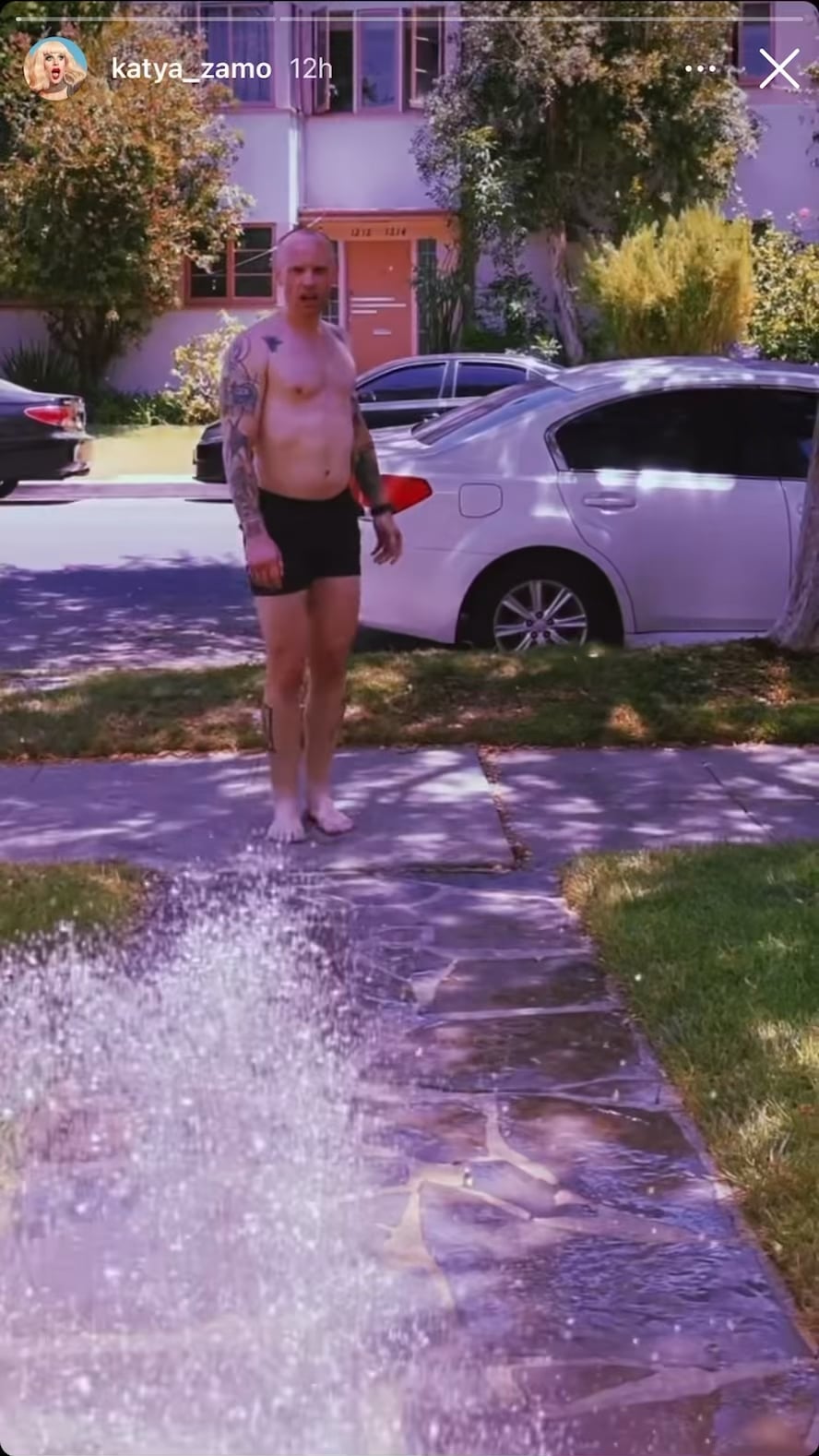 katya petrovna zamolodchikova 1