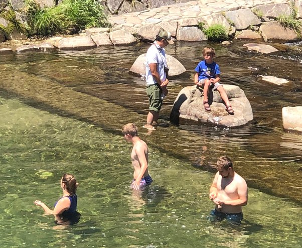 kofoworola george taylor 8