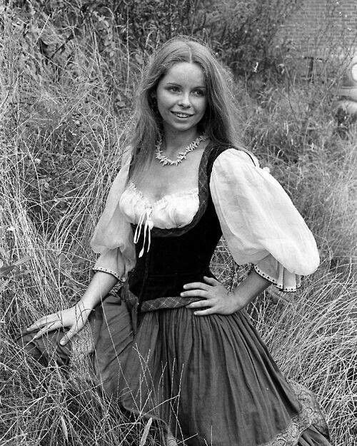 lalla ward 8