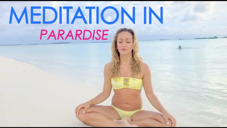 lesley fightmaster 13