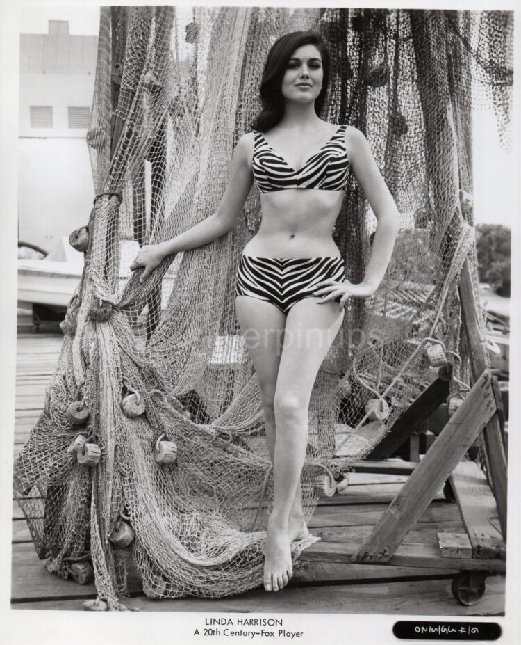 linda harrison 8