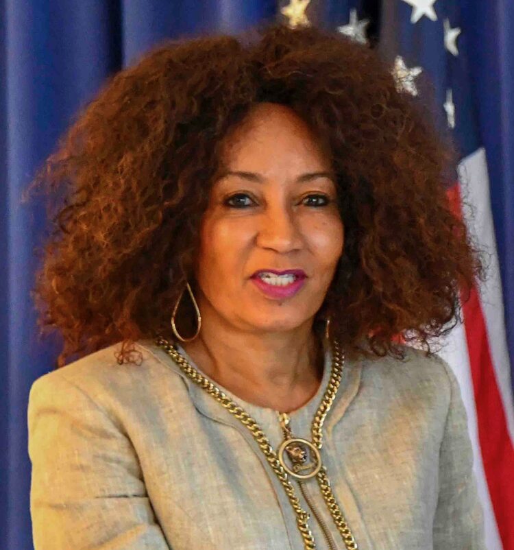 lindiwe sisulu