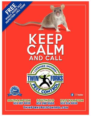 lisa samantha pols 9