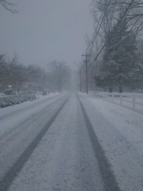 livia paige driendl 7