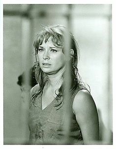 lois nettleton 4