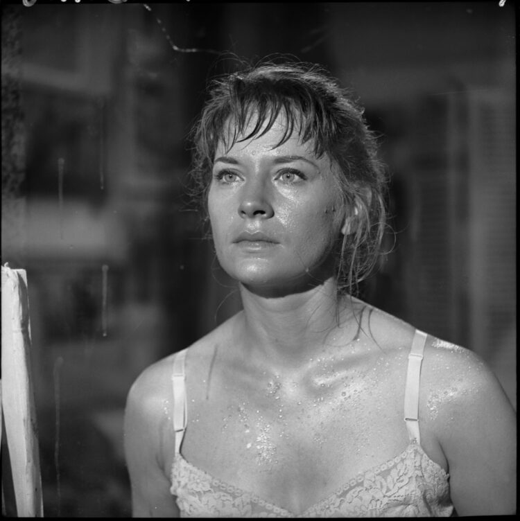 lois nettleton scaled