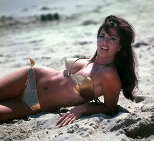 lori saunders