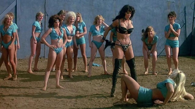 lost in a bookish collection 13