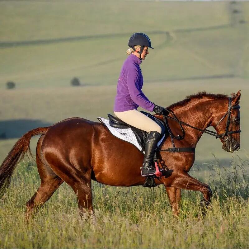 lucinda fredericks 5