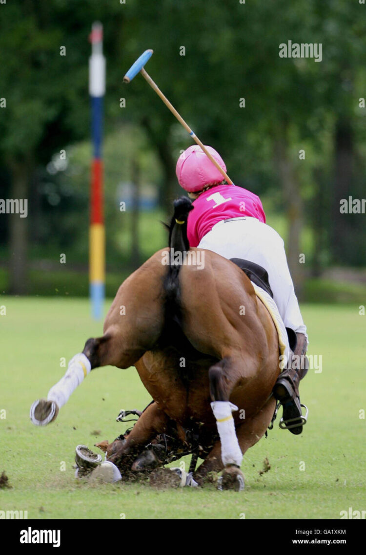 lucinda fredericks 9