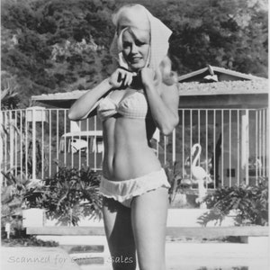 mamie van doren 7