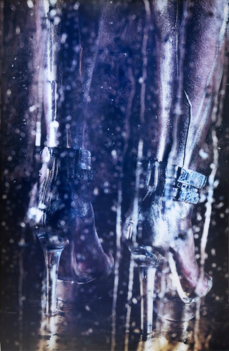 marilyn minter 5 scaled