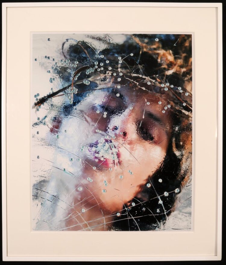 marilyn minter 8