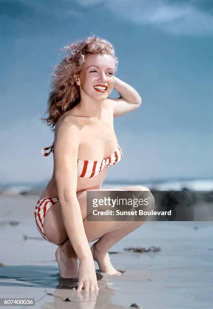 marilyn singer 8