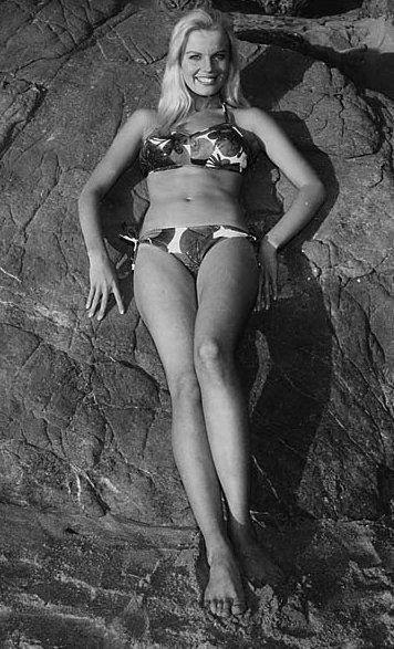 marta kristen