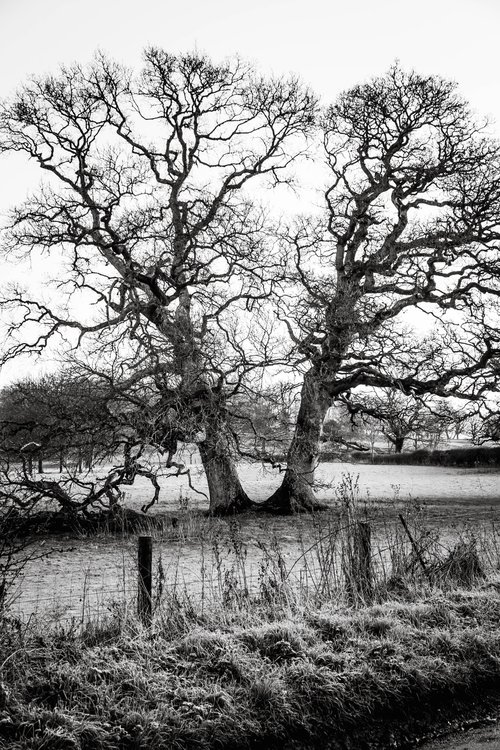 marte marie forsberg 5