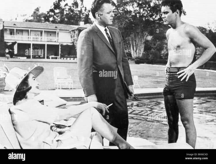 mary boykin chesnut 5