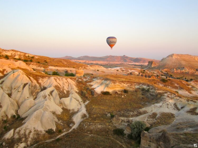 marysia maciocha 6 scaled