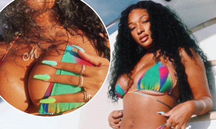 megan family coaster 7