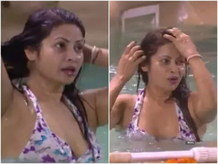 megha dhade