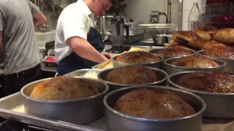 meghan bogden shimek 5