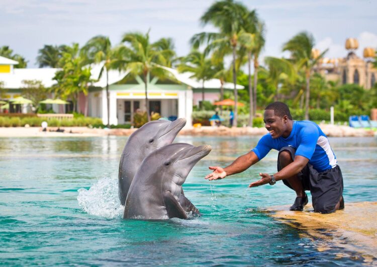 melissa cay genove 4