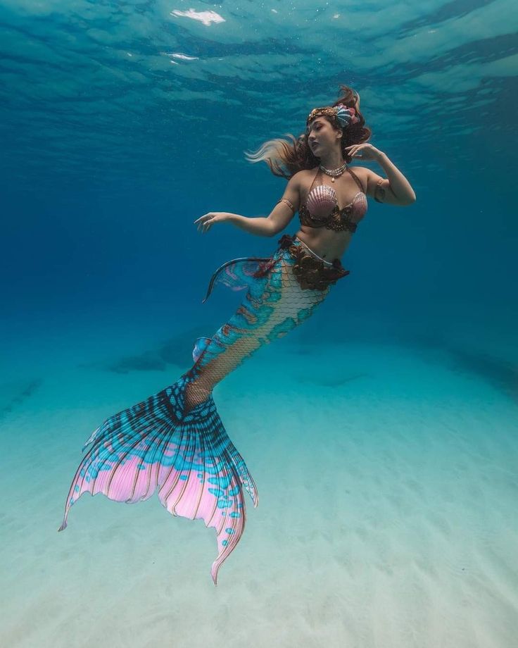 mermaid sirenity 6