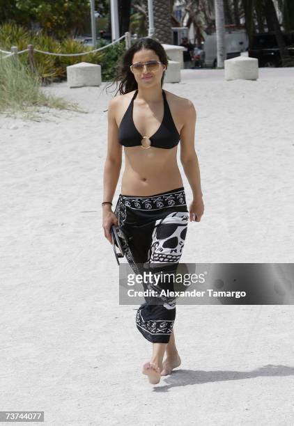 michelle alexander 3