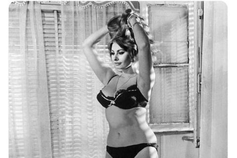 mihaela radulescu schwartzenberg 6