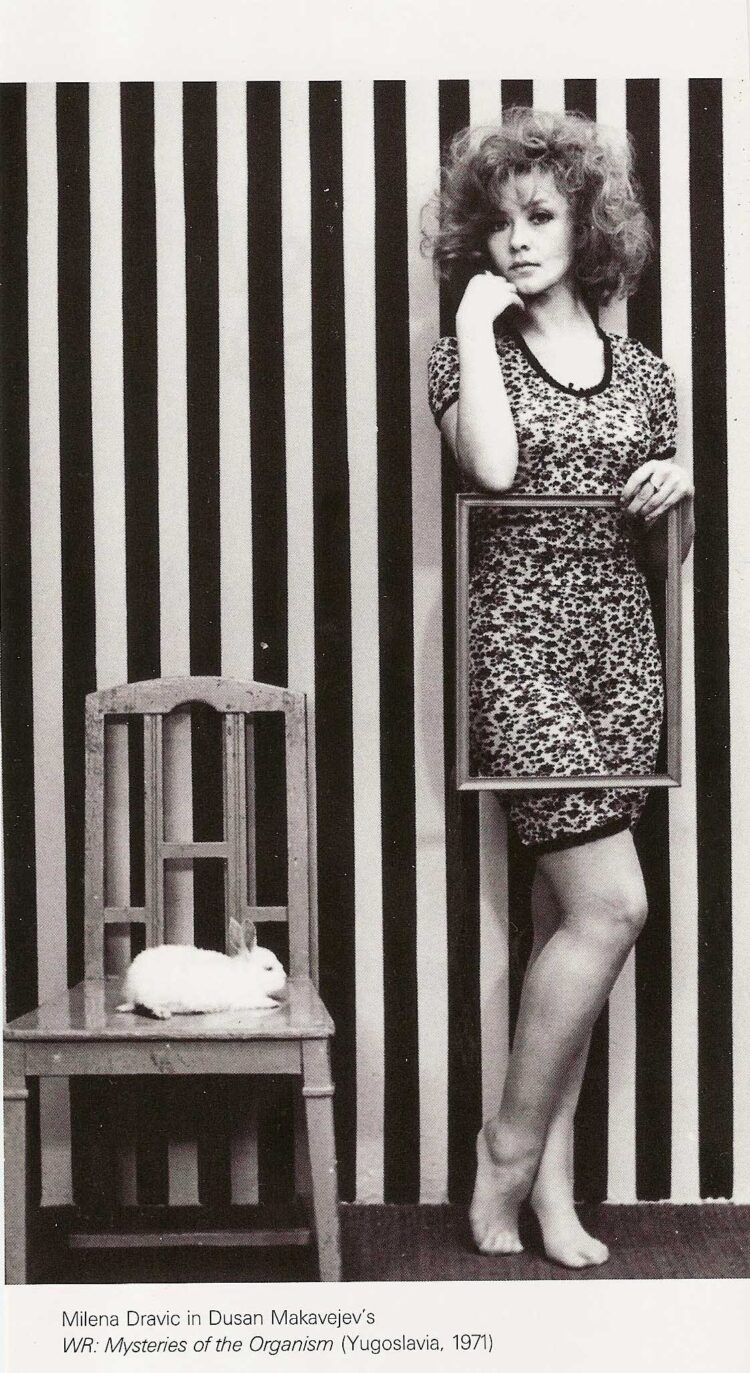 milena dravic 3