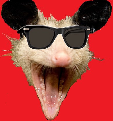 monica tranel michini 8