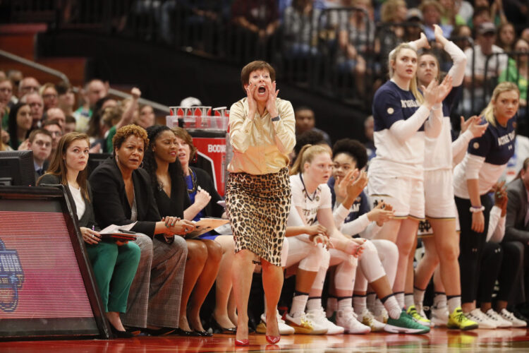 muffet mcgraw 6