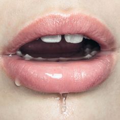 nastia cloutier ignatiev