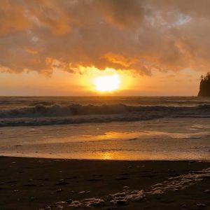 nathalie donutbutts 9