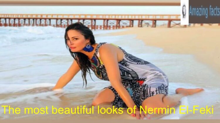 nermin al fiqy