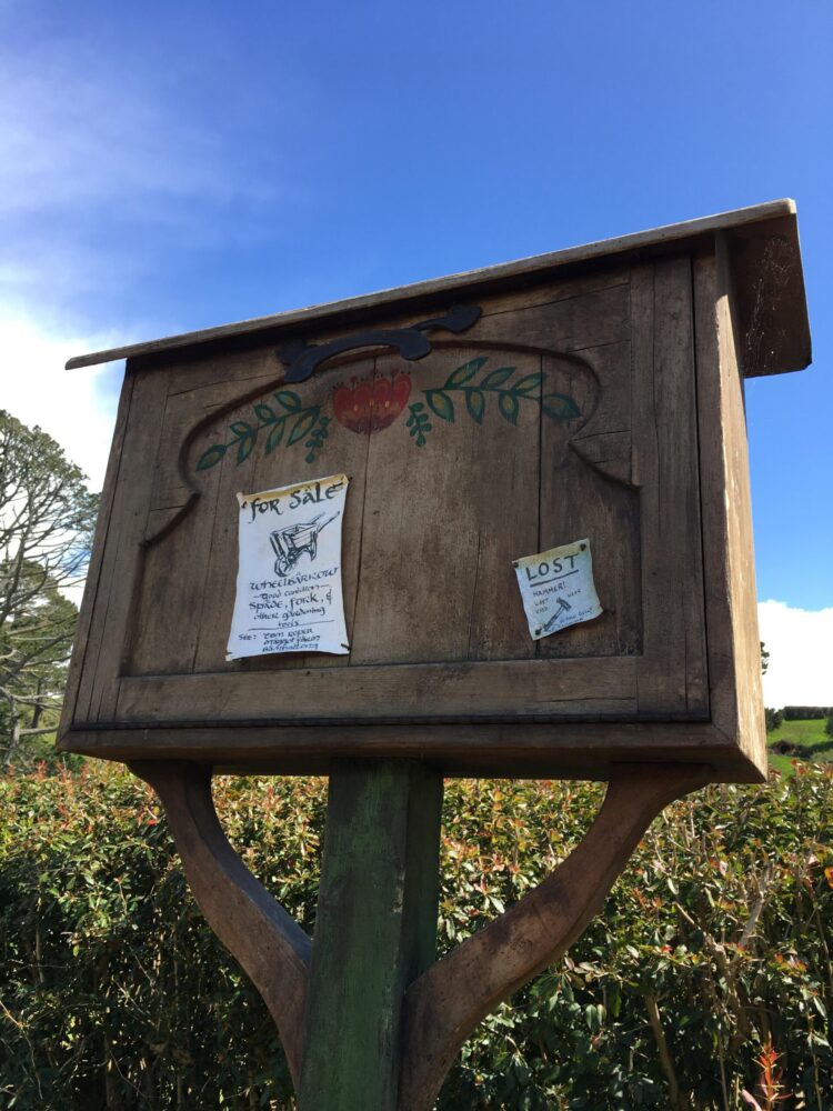 neziplaysroblox 5 scaled