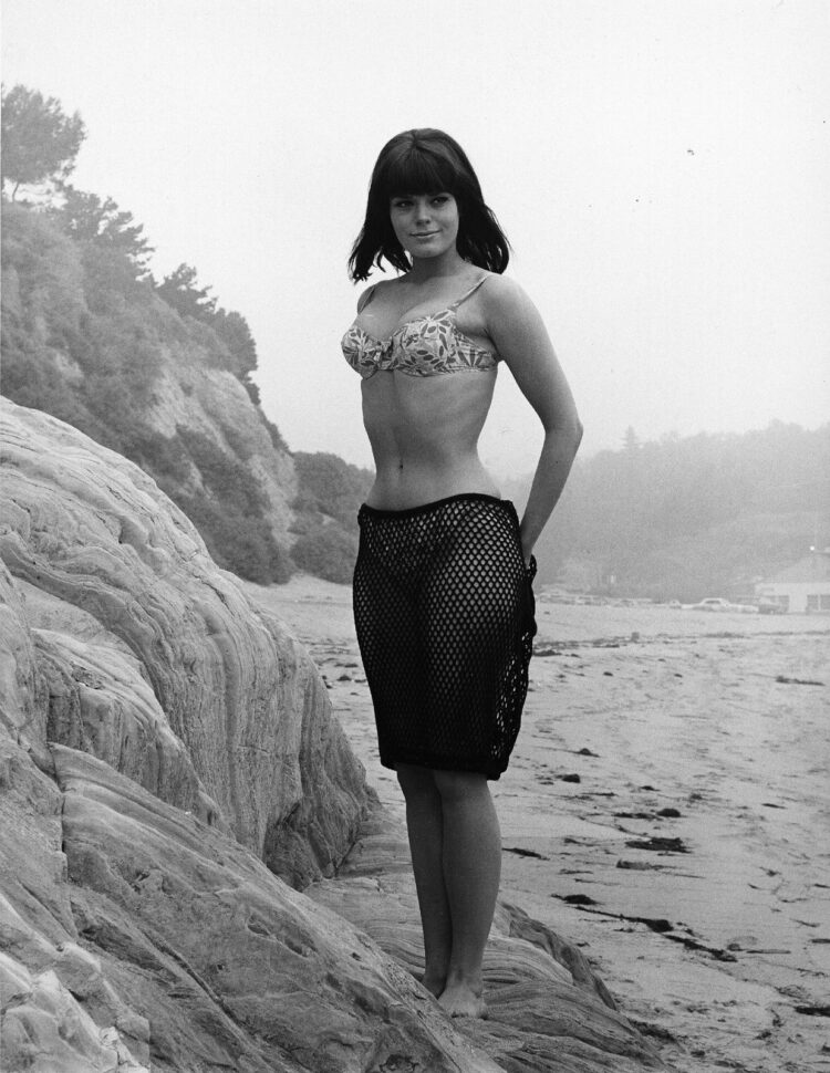 nina wayne