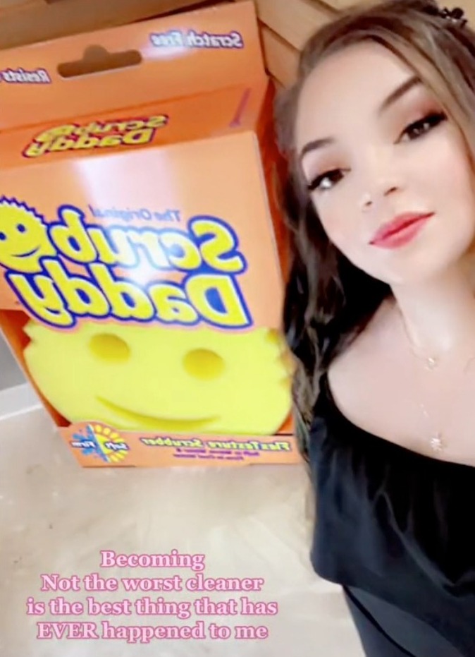 nottheworstcleaner 1