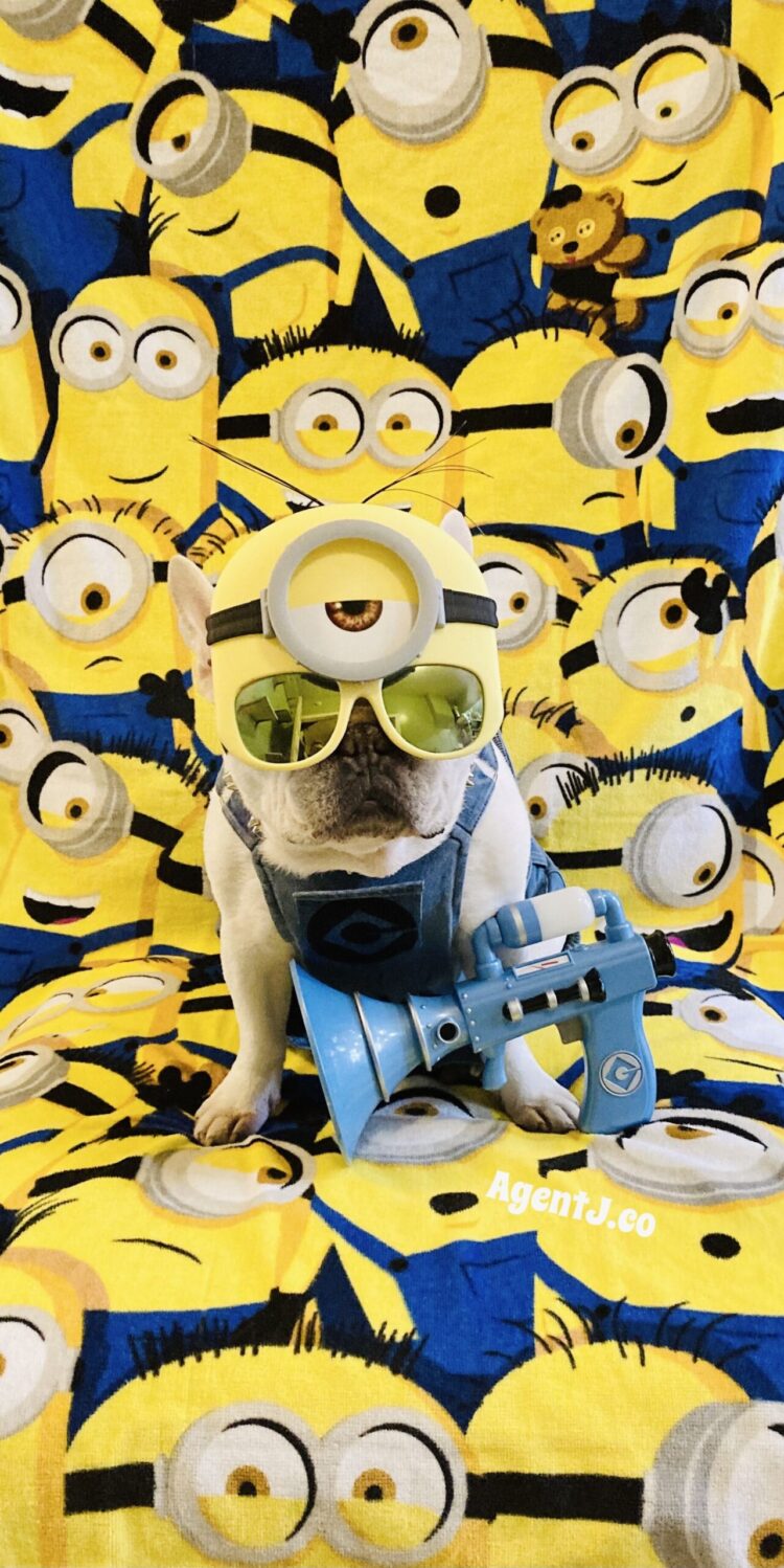 oneinaminion aj 3 scaled