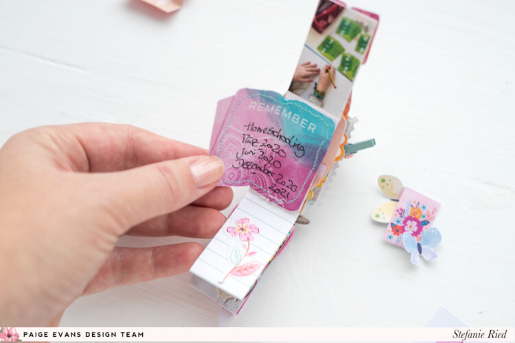 paige taylor evans 7